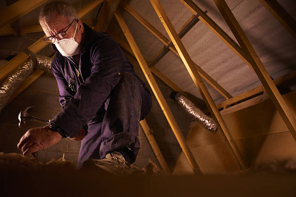 Best Insulation Installation Services in Marysville, MI