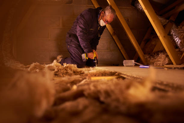Best Insulation Installation Services in Marysville, MI